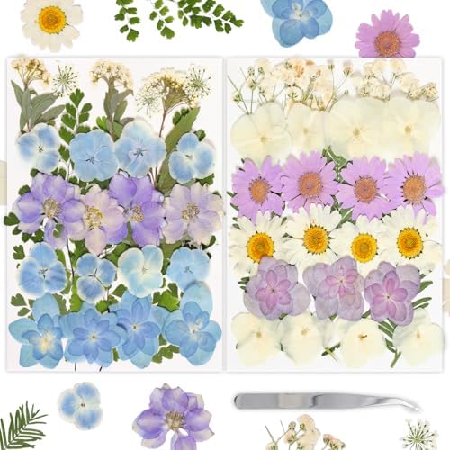 Dried Pressed Flowers Real Pressed Flowers Natural Dry Leaves Bulk Mixed Colorful Herbs Kit with Tweezers for Scrapbooking DIY Candle Jewelry Crafts Making Nails (White, Purple, Blue) by Gvhntk