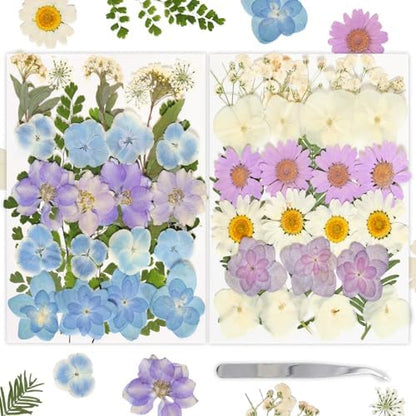 Dried Pressed Flowers Real Pressed Flowers Natural Dry Leaves Bulk Mixed Colorful Herbs Kit with Tweezers for Scrapbooking DIY Candle Jewelry Crafts Making Nails (White, Purple, Blue) by Gvhntk