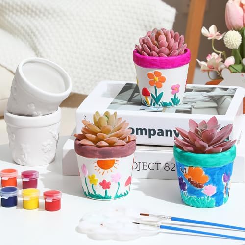 Pasimy 6 Set Ceramics to Paint DIY Succulent Planter Pots, Classic - Image 4