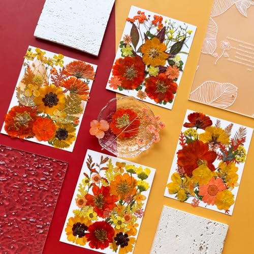 MIKIYA 90Pcs Fall Pressed Dried Flowers for Resin, Real Assorted Autumn Natural Bulk Orange Dry Floral Leaves for DIY Art Crafts, Epoxy Molds, Jewelry, Soap, Candle Making - Image 3