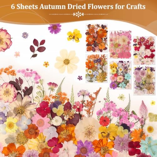 Evatage 180 Pcs Real Dried Pressed Flowers for Resin Crafts - Image 3