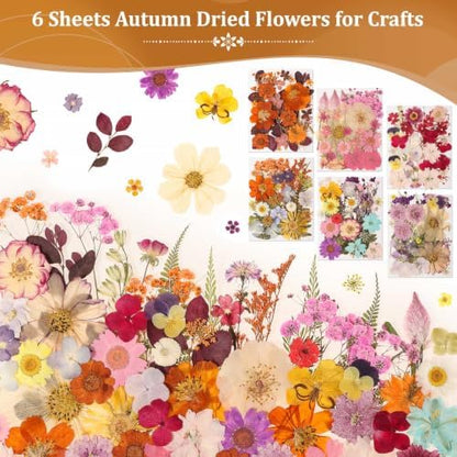 Evatage 180 Pcs Real Dried Pressed Flowers for Resin Crafts - Image 3