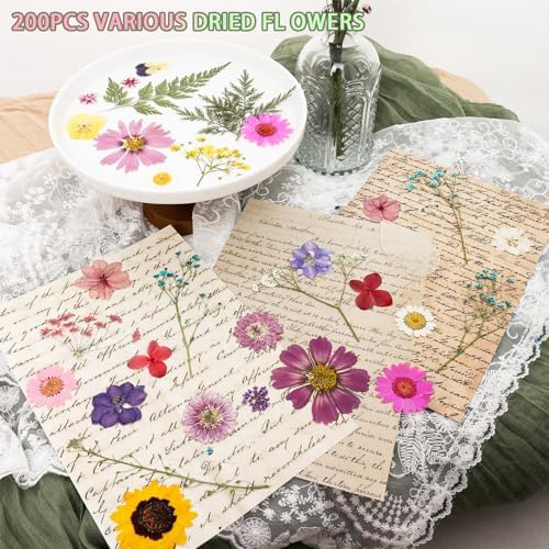 200Pcs Dried Pressed Flowers Resin Mould Real Flowers Natural Dry Leaves Bulk Mixed Colorful Herbs Kit with Tweezers for Scrapbooking DIY Candle Jewelry Crafts Making Nails Decoration(Multicolor) - Image 2