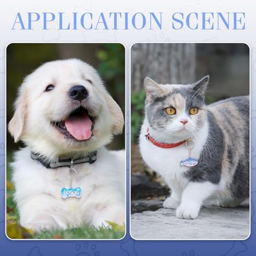 Pet Tag Silicone Mold Keychain Resin Molds Dog Bone Heart Fish Cat Paw Resin Casting Molds & 35Pcs Key Rings 70Pcs Jump Rings for DIY Keychain Dog Collar Earring Jewelry Making - Image 4