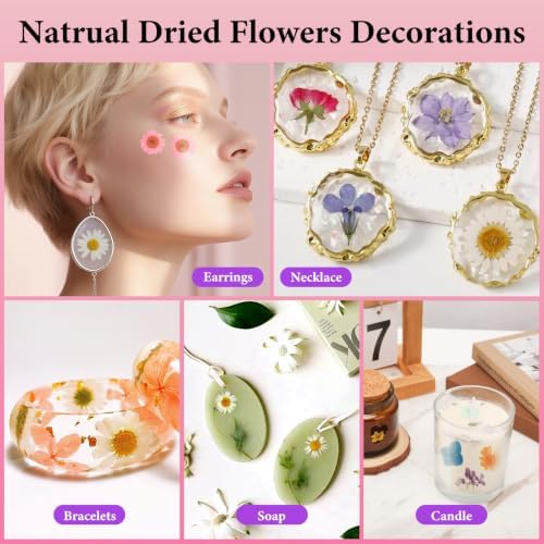 210 Pcs Dried Pressed Flowers for Resin,Real Nature Dried Flowers for Craft - Image 6
