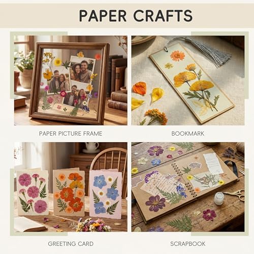 LUXEEASE 80P Yellow Red Pink Blue Dried Pressed Flowers - Image 5