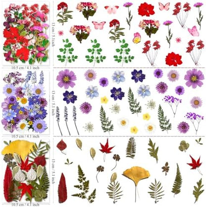 MIKIYA 150Pcs Dried Pressed Flowers for Resin, Assorted Real Natural Bulk Dry Floral Leaves for DIY Art Crafts, Epoxy Molds, Jewelry, Soap, Candle Making, Nails Decors - Image 5