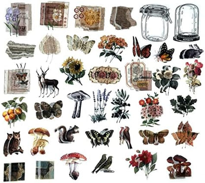 Esweny 200 Pieces Vintage Ephemera Scrapbooking Supplies Pack for Journaling, Decoupage Paper Scrapbook Stickers Kit for Junk Journal Planners Collage Craft Notebooks Album (Forests) - Image 6