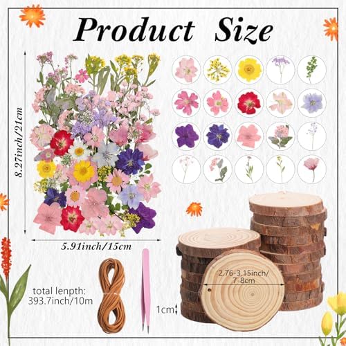 20 Set DIY Crafts Wooden Slices with Pressed Flower Fall, Delicate - Image 2