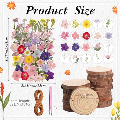 20 Set DIY Crafts Wooden Slices with Pressed Flower Fall, Delicate - Image 2
