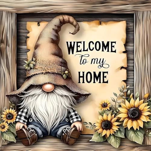 DYAIANGMU Gnome Stamped Cross Stitch Kit for Adults 13.7x13.7 inches by Unknown