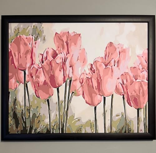 BAISITE Paint by Numbers Kit for Adults Beginners,20" Wx16 L Canvas for Painting Kits for Adults in Colorful Box Poppy Flowers-BSC002-Already Stretched on a Wooden Frame - Image 2