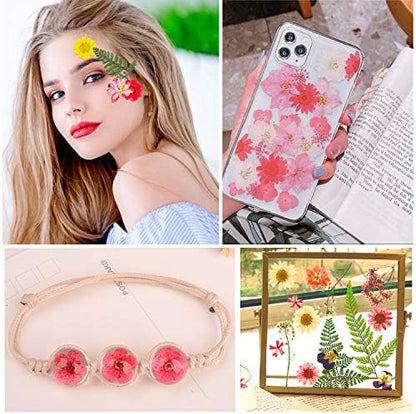 Augshy Dried Pressed Flowers, Natural Resin Flowers, Real Mixed Color Pressed Flowers, Colorful Dry Flowers for Resin Jewelry Nail Art Craft DIY - Image 6