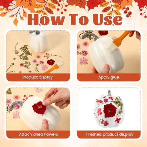 Pinkunn 24 Pcs Artificial Pumpkin and 140 Pcs Dried Flowers, White - Image 3