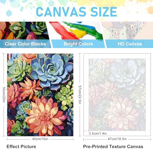 Paint by Numbers Kit for Adults, Succulents DIY Acrylic Canvas Painting Set - Image 3