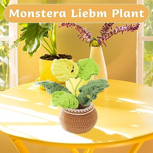 kgxulr Crochet Kit, Monstera Leaves Knitting Kit, Crochet Kit for Beginners - Image 4