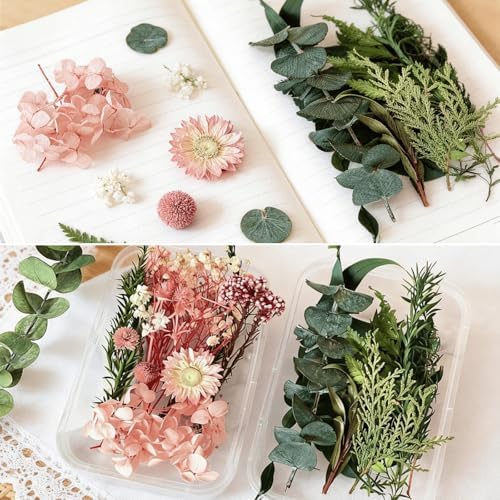 2PCS Dried Flowers Kit, Natural Dried Flowers Kit for DIY Crafts, Scrapbook, Card Making (Stye2_13) - Image 2