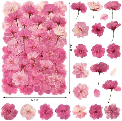 101 PCS Pressed Cherry Blossom for Crafts, Pink Dried Pressed Flowers for Resin DIY Jewelry Making Cake Card Scrapbook Decor, Dried Sakura Flowers for Soap Candle Making - Image 2