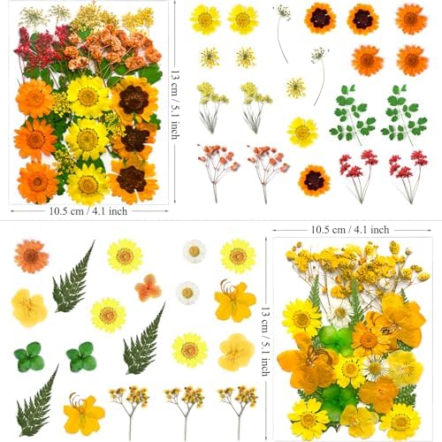 MIKIYA 88Pcs Yellow Pressed Dried Flowers for Resin Molds, Real Natural Bulk Dry Floral Leaves for DIY Art Crafts, Epoxy Jewelry, Candle, Soap Making, Nails Decors - Image 6