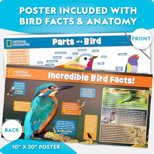 National Geographic Build Your Own Bird Feeder Craft Kit for Kids - Image 7