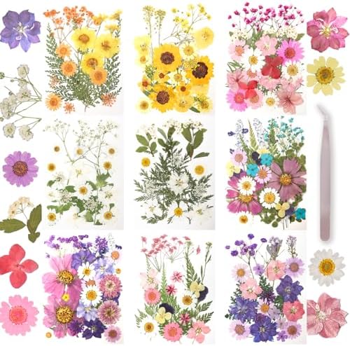 200Pcs Dried Pressed Flowers Resin Mould Real Flowers Natural Dry Leaves Bulk Mixed Colorful Herbs Kit with Tweezers for Scrapbooking DIY Candle Jewelry Crafts Making Nails Decoration(Multicolor) by Gvhntk