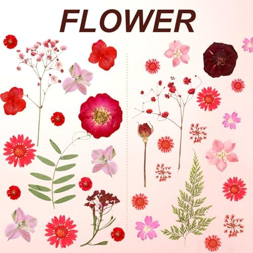 Dried Pressed Flowers Real Pressed Flowers Natural Dry Leaves Bulk Mixed Colorful Herbs Kit with Tweezers for Scrapbooking DIY Candle Jewelry Crafts Making Nails (Red) - Image 3