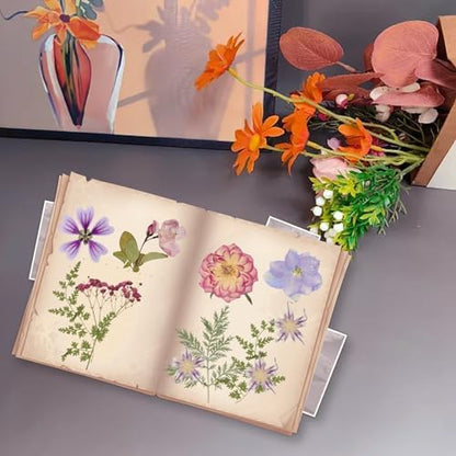 50Pcs Dried Pressed Flowers Resin Mould Real Pressed Flowers Natural Dry Leaves Bulk Mixed Colorful Daisy Herbs Kit with Tweezers for Scrapbooking DIY Candle Jewelry Crafts Making Nails(Purple) - Image 6
