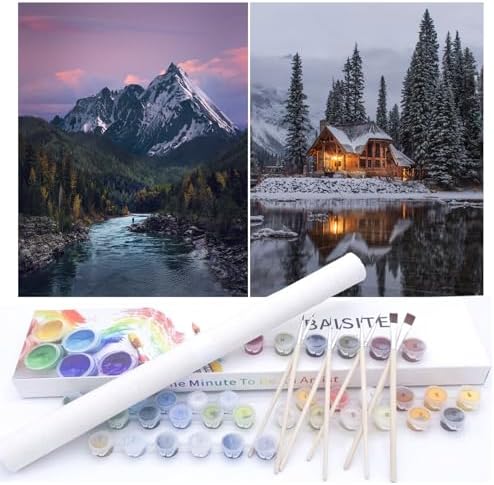 BAISITE Paint by Numbers Kit for Adults Beginners,12" Wx16 L 2 Pack Canvas for Painting Kits for Adults in Colorful Box-PBN219-220 by PaintbyNumbersKitsforAdults