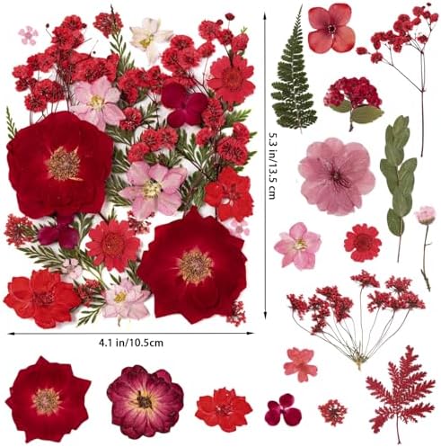 101 PCS Red Dried Pressed Flowers for Christmas Crafts Resin, Red Real Nature Flowers Bulk for DIY Holiday Cake Card Scrapbook Supplies, Large Dried Flowers for Soap Candle Making - Image 2