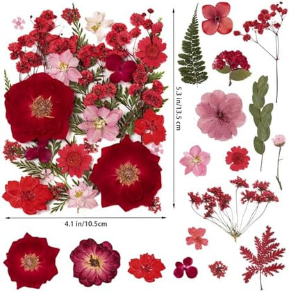 101 PCS Red Dried Pressed Flowers for Christmas Crafts Resin, Red Real Nature Flowers Bulk for DIY Holiday Cake Card Scrapbook Supplies, Large Dried Flowers for Soap Candle Making - Image 2