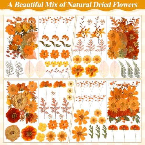 150 PCS Fall Dried Pressed Flowers for Crafts, Real Orange Red Dried Wildflowers Leaves Bulk Nature Pressed Dried Flower for Scrapbooking Candle Resin Jewerly Making - Image 3