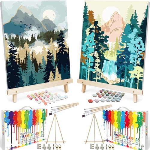 BAISITE Paint by Numbers Kit for Adults Beginners,16" Wx20 L 2 Pack Canvas for Painting Kits for Adults in Colorful Box 7172 Already Framed by PaintbyNumbersKitsforAdults