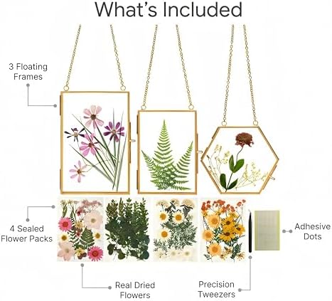 Relaxing Garden Pressed Flower Frame Kit, 3 Hanging Glass Frames - Image 2