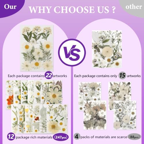 NESCCI 247 Pcs Dried Flowers for Crafts,Real Natural Dried Pressed Flowers - Image 4