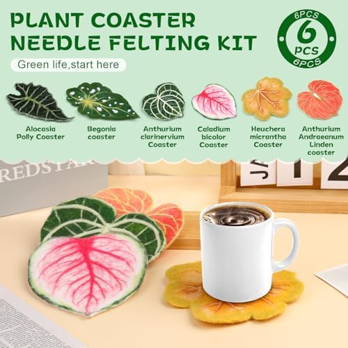OEHPICC Needle Felting Kit, 6 Pcs Leaf Coasters Needle Felting Starter Kit - Image 6