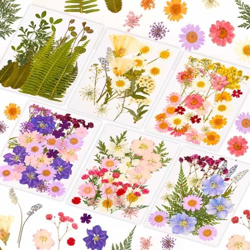 Evatage 124 Pcs Real Dried Pressed Flowers and Leaves for Resin Crafts by Evatage