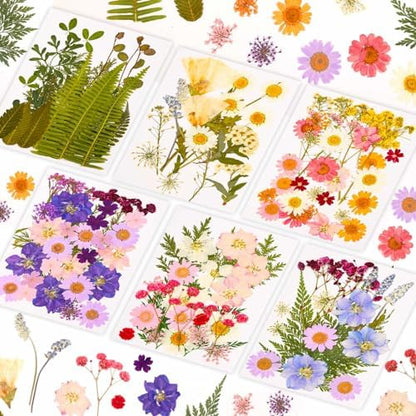 Evatage 124 Pcs Real Dried Pressed Flowers and Leaves for Resin Crafts by Evatage