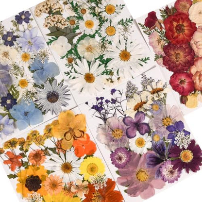 150PCS Pressed Dried Flowers Dry Leaves for DIY Crafts, Colorful - Image 2