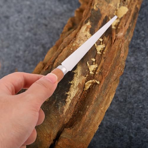 COHEALI 20 Pcs Pottery Tools Fettling Knife for Clay Ceramic Fettling Knife Handle Carving Art Tool Clay Cutting for Sculpting Ceramics Pottery Sculpture Projects - Image 3