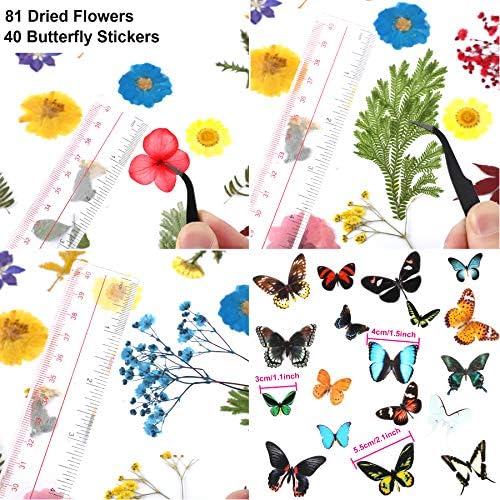Augshy Real Dried Pressed Flower Set with Butterfly Transparent Stickers Scrapbook Decals Natural Dried Flowers Leaves with Tweezers for Resin Supplies DIY Candle Jewellery Making - Image 2
