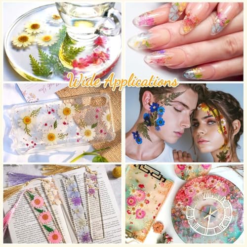 Evatage 200 Pcs Small Dried Pressed Flowers for Resin Crafts - Image 6
