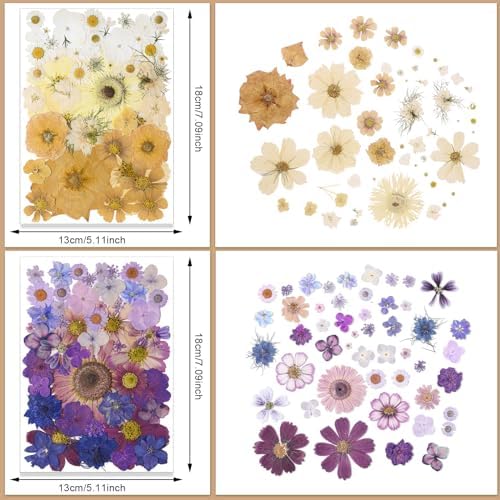 Nuanchu 200 Pcs Pressed Flowers Bulk Dried Flower for Craft Resin Mold Bookmark Scrapbooking Nail Cake White Orange Natural Pressed Dried Floral with Tweezer DIY Gift(Bright Color,Natural Style) - Image 2