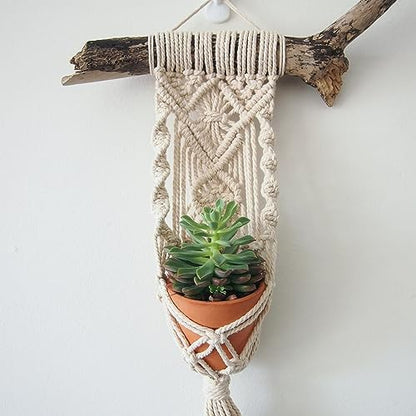 HOMSFOU 1set Macrame Kit Hand Woven Tapestry Decoration for Beginners Complete Crafting Supplies for Wall Hangings Plant Hangers for Creative Projects Relaxation - Image 5