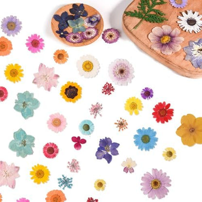80PCS Multicolor Pressed Dried Flowers Dry Leaves - Image 3