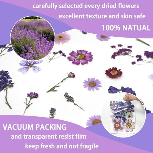 Purple Dried Pressed Flowers Real Natural Petals Bulk for Scrapbooking Art Crafts DIY Gift Papermaking Resin Party Decorations Candle Soap Card Jewelry Making Supplies - Image 4
