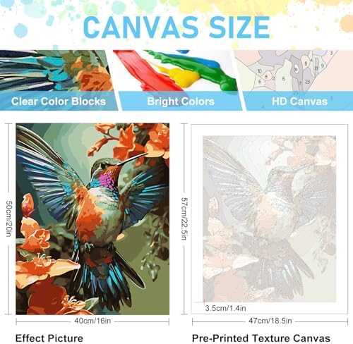Paint by Numbers Kit for Adults, Hummingbird Acrylic Canvas Painting Set - Image 2
