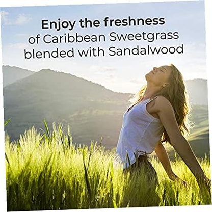 Air Wick Scented Oils 0+10 Sweetgrass & Sandalwood