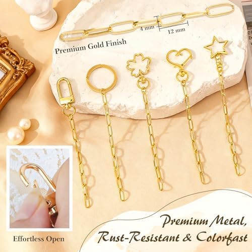 Ecoofor 50 Set Keychain Making Kit, 5 Style Metal Keychain Clips with Swivel Snap Hooks, Lobster Clasps, Key Rings & Extender Chains for DIY Crafts, Jewelry, Bags, Keychains & Gift Accessories - Image 2