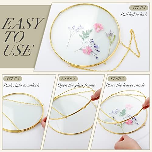 4 Inch 4 Pcs Pressed Flower Frames Double Glass Frame Wall Decor, Gold - Image 3