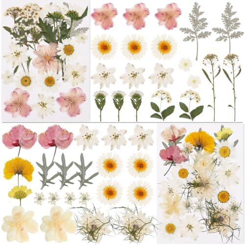 NESCCI 83 Pcs Dried Flowers for Crafts,Real Natural Dried Pressed Flowers - Image 3